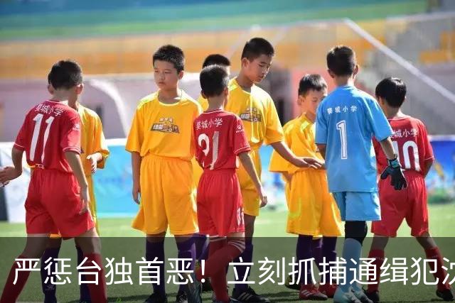 严惩台独首恶！立刻抓捕通缉犯沈伯洋！