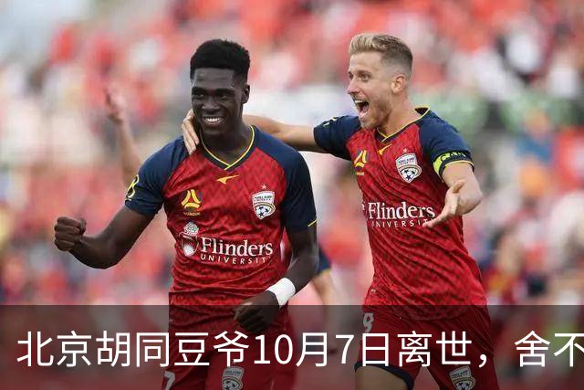 北京胡同豆爷10月7日离世，舍不得花钱硬扛小病留给世人一声叹息