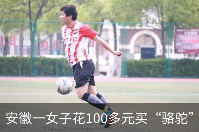 安徽一女子花100多元买“骆驼”冲锋衣，收到货一看，logo竟是一头咧着嘴笑的驴！有人质疑这是擦边，商家：商标已注册，不要只看图片外观