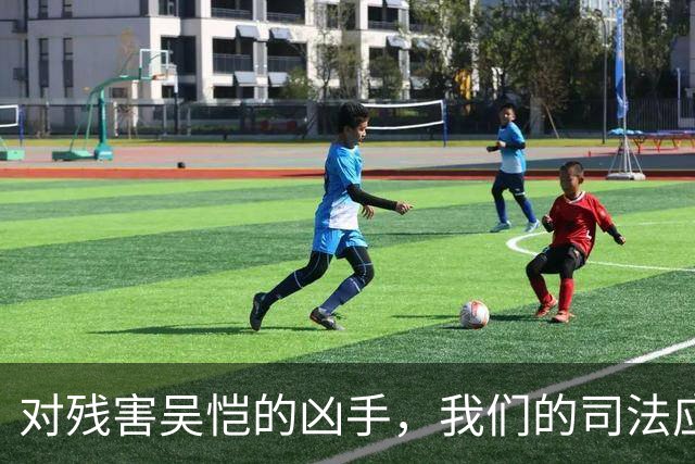 对残害吴恺的凶手，我们的司法应果断亮剑、坚决严惩！
