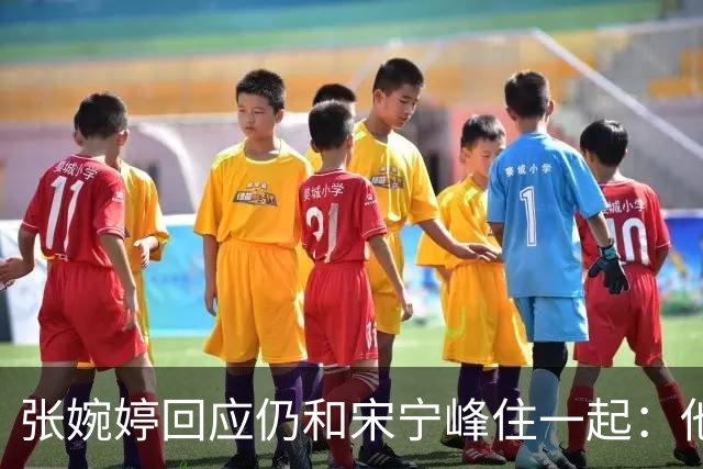 张婉婷回应仍和宋宁峰住一起：他负责带娃，她负责赚钱