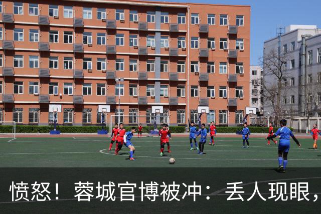 愤怒！蓉城官博被冲：丢人现眼，解散吧，载入史册的小丑，心疼球迷