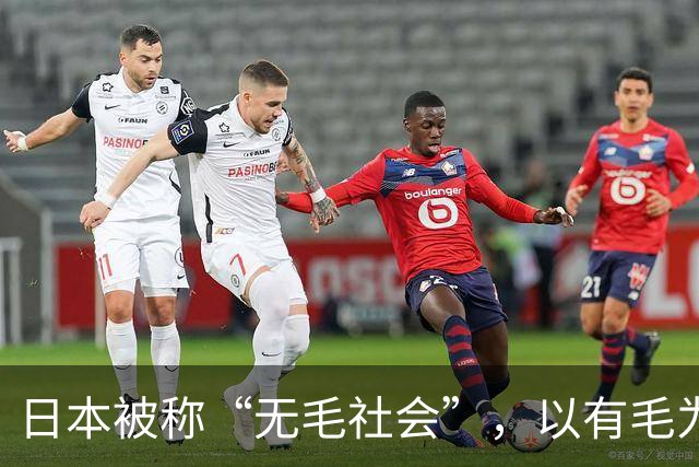 日本被称“无毛社会”，以有毛为耻，连儿童都不放过，全部剃光？