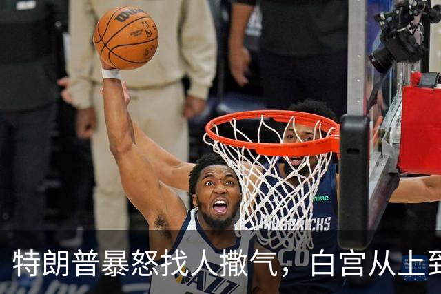 特朗普暴怒找人撒气，白宫从上到下都在挨骂，他知道自己必败无疑