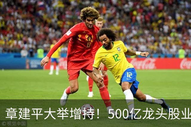 章建平大举增持！500亿龙头股业绩大增超8倍