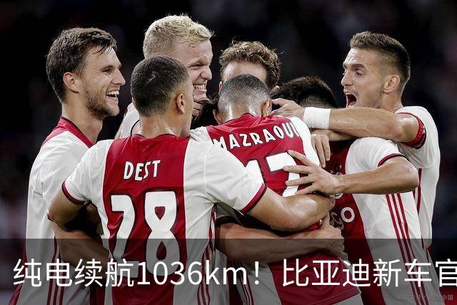 纯电续航1036km！比亚迪新车官宣：10月15日继续开卖