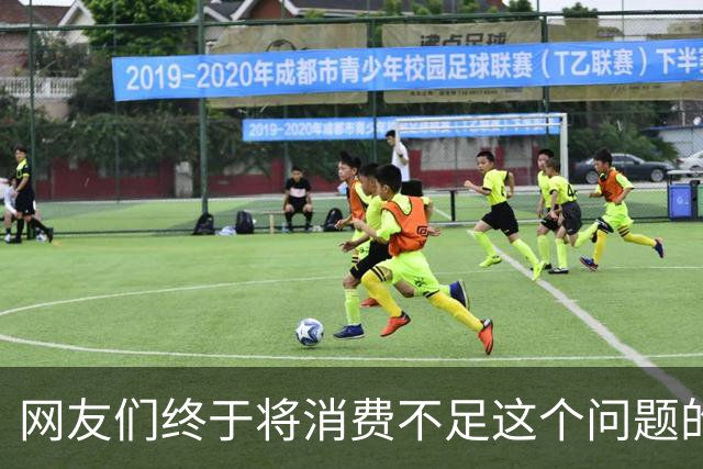 网友们终于将消费不足这个问题的真正原因给讲明白了