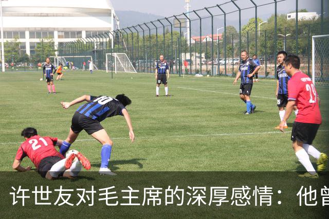 许世友对毛主席的深厚感情：他曾上跪毛主席，也下跪老母亲