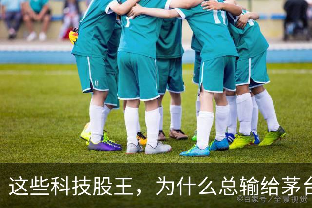 这些科技股王，为什么总输给茅台？
