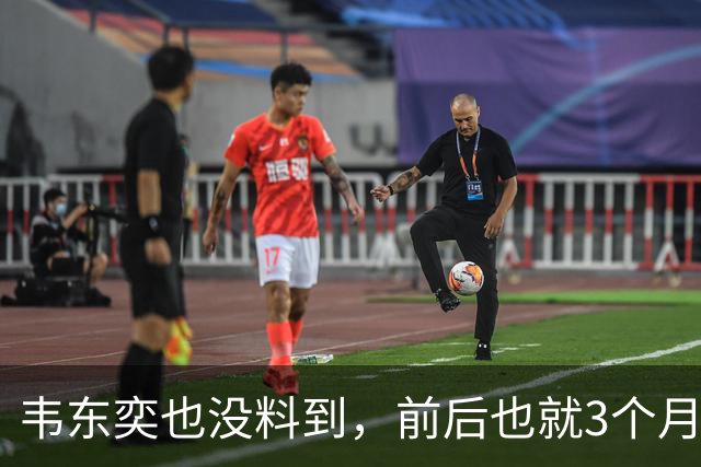 韦东奕也没料到，前后也就3个月，王虹竟再向学术界亮出“王牌”